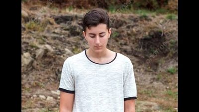 article