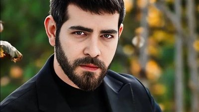article